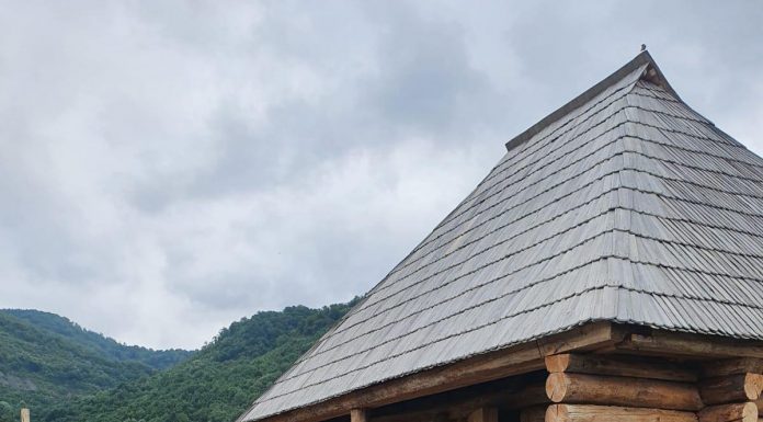 Tabăra de sculptură în lemn de la Polovragi, la final