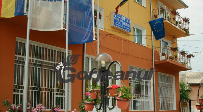 Primăria Țânțăreni recrutează un asistent social