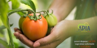 APIA a finalizat campania de înscriere în Programul pentru susținerea producției de legume în spații protejate
