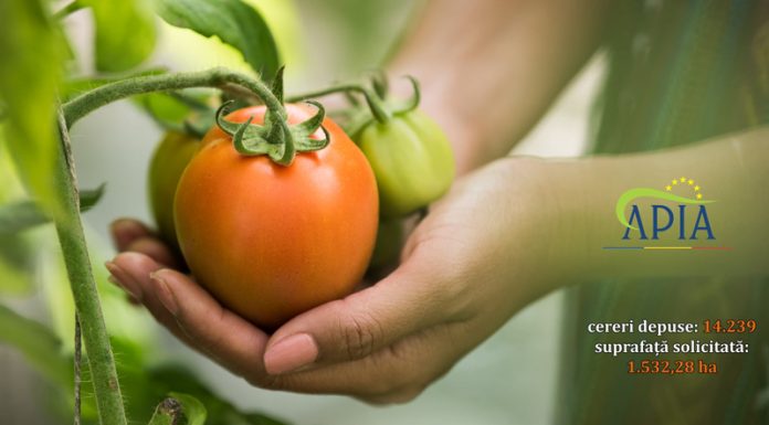 APIA a finalizat campania de înscriere în Programul pentru susținerea producției de legume în spații protejate