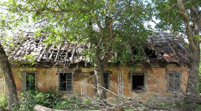 Educaţia…şi Lecţia de Viaţă! – Depopularea satului românesc şi metamorfoza demografică a Europei, în timp şi peste timp!