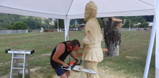 Tabără de sculptură cu drujba lângă Polovragi!