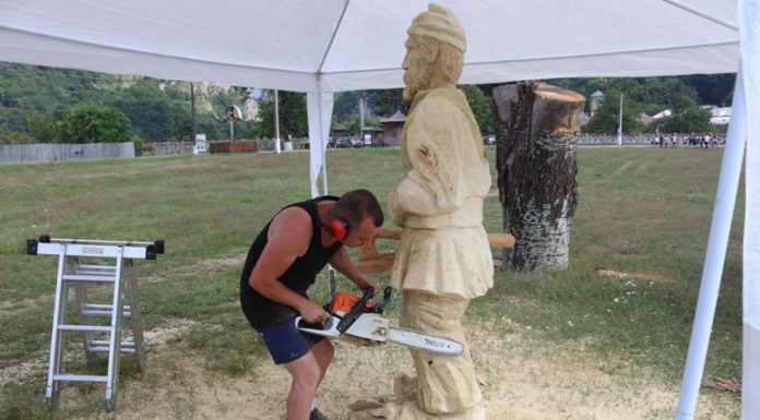 Tabără de sculptură cu drujba lângă Polovragi!