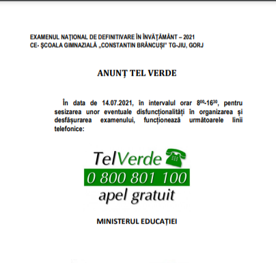 TelVerde pentru Definitivat