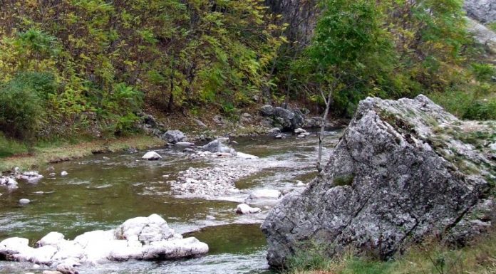 Un „ave” la Tismana