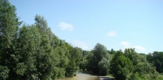 Valea Motrului