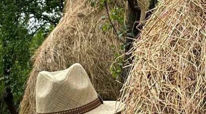 Lumea gorjenească – Vizita unui scriitor