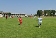 Al doilea eșec drastic pentru panduri