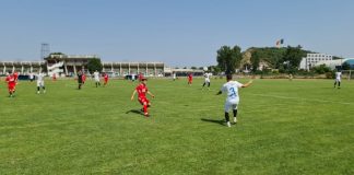 Al doilea eșec drastic pentru panduri