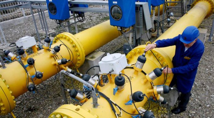 Contabila Romgaz Stejari, pusă pe rele! Rodica, 24 de ore în arestul IPJ Gorj