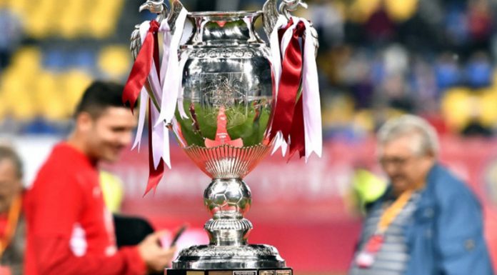 S-au stabilit meciurile din Cupa României