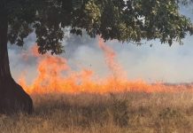 Incendiu la Runcu! |FOTO