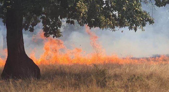 Incendiu la Runcu! |FOTO
