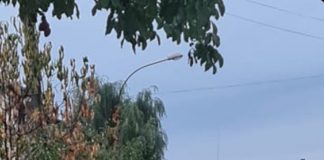 Gigel are mașină de serviciu de la CEO și o parchează la vedere! Pe trotuar