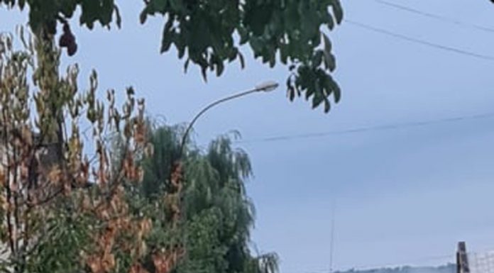 Gigel are mașină de serviciu de la CEO și o parchează la vedere! Pe trotuar