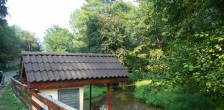 Prin Ţara Jiului de Sus – ÎN LUMEA „APEI VII”