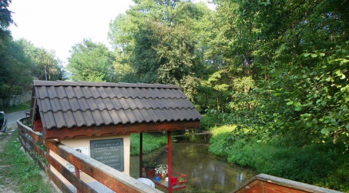Prin Ţara Jiului de Sus – ÎN LUMEA „APEI VII”