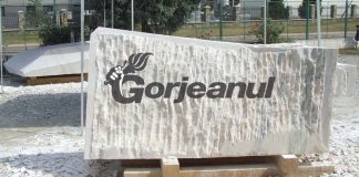 Artiștii străini revin la tabăra de sculptură „Brâncușiana”