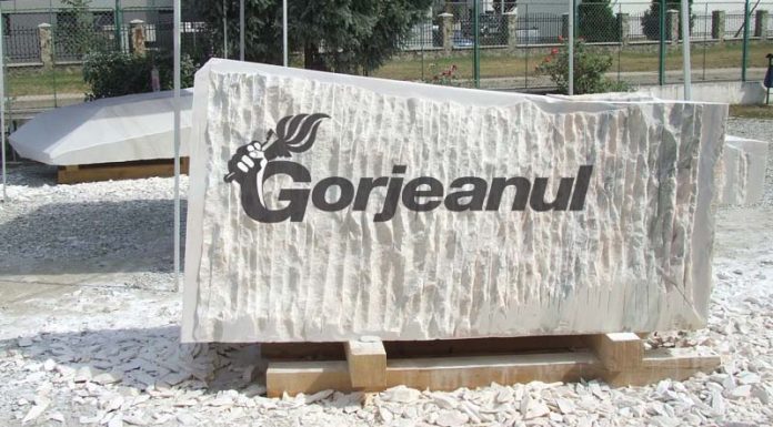 Artiștii străini revin la tabăra de sculptură „Brâncușiana”