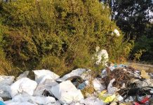 Apel al Poliției Locale Târgu Jiu!