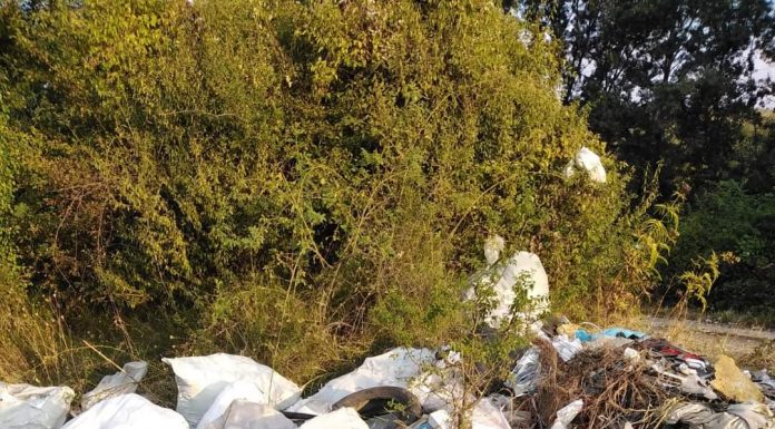 Apel al Poliției Locale Târgu Jiu!