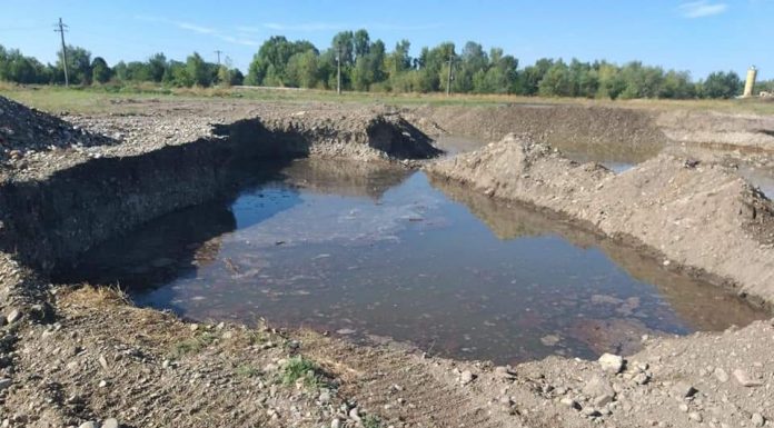 Garda de Mediu: Sistare de activitate pentru o firmă și amendă de 60.000 de lei