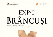 Frunza de stejar oferită de Constantin Brâncuşi lui Traian Vuia, expusă la Muzeul Național „Constantin Brâncuși”