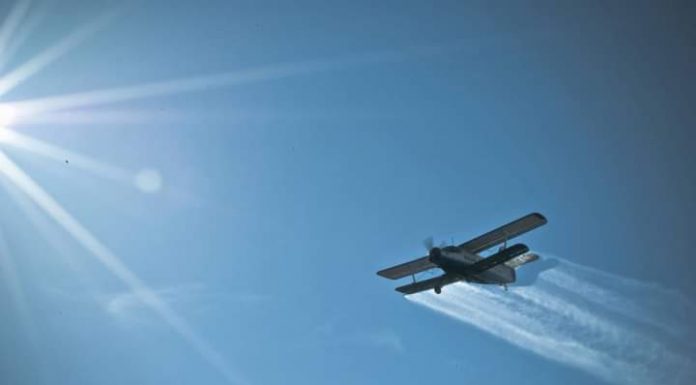 O nouă etapă de dezinsecție la Târgu Jiu