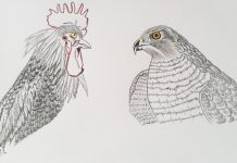 Povești de lângă noi – Un musafir nepoftit