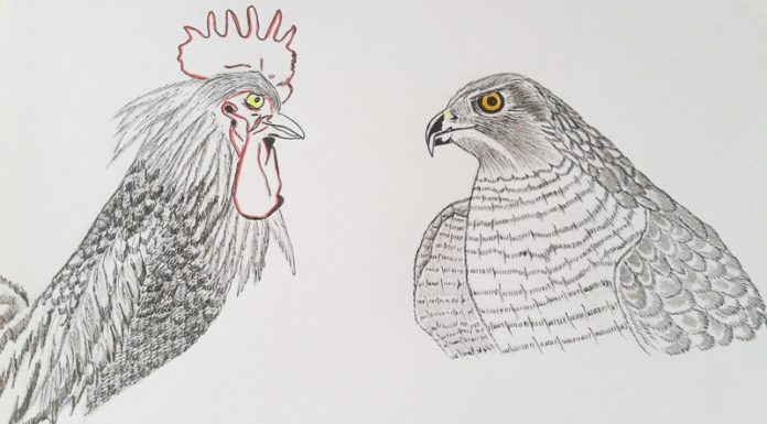 Povești de lângă noi – Un musafir nepoftit