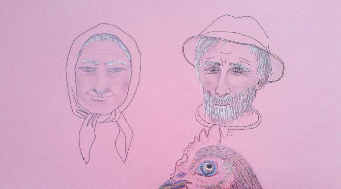 O poveste din ogradă