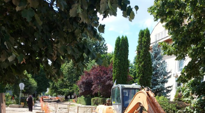 AUR pregătește un protest la Târgu Jiu pentru Calea Eroilor