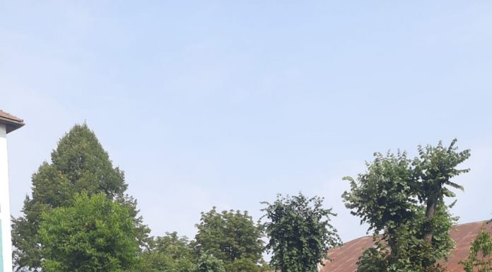 Nepăsare la Liceul Tehnologic Motru! Părinții elevilor ejectați când au nevoie de documente