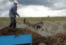 Agricultura pe înțelesul tuturor – Gunoiul de grajd – o comoară a fermierilor