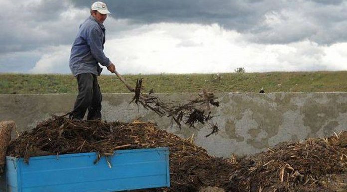 Agricultura pe înțelesul tuturor – Gunoiul de grajd – o comoară a fermierilor