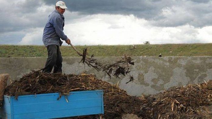 Reguli-pentru-depozitarea-gunoiului-de-grajd