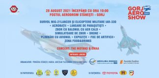 Show aviatic la Stănești