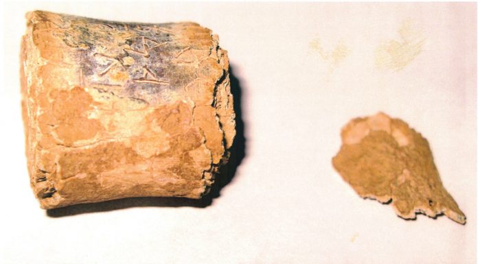 Inscripție medievală valoroasă, descoperită la Brașov! Un profesor din Gorj descifrează textul bucății de plumb