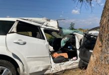 Accident la Scoarța! A intrat cu mașina într-un copac!