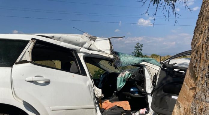 Accident la Scoarța! A intrat cu mașina într-un copac!