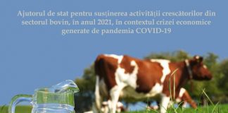 Final de campanie: 2.085 de fermieri gorjeni au solicitat ajutorul de stat în sectorul bovin!