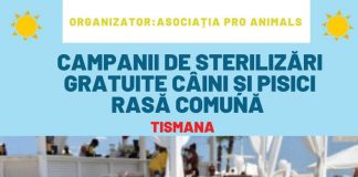 O nouă campanie de sterilizare a patrupedelor, la Tismana