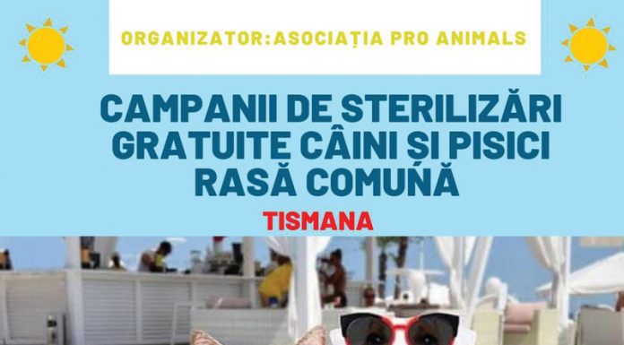 O nouă campanie de sterilizare a patrupedelor, la Tismana