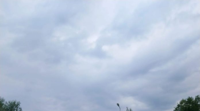 Amendă de 50.000 de lei la Novaci