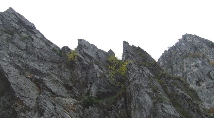 LUMEA JIULUI DE SUS – Prin carstul gorjean (II)