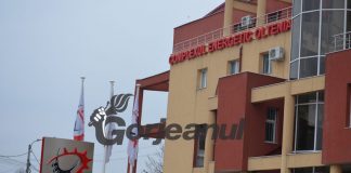 Arhiva CEO, făcută praf! Cine răspunde?