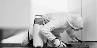 Firmă de deratizare din Târgu-Jiu, închisă și amendată cu 30.000 de lei