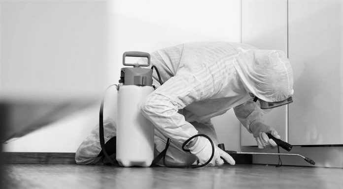 Firmă de deratizare din Târgu-Jiu, închisă și amendată cu 30.000 de lei