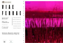 „Viae Ferrae II”, o nouă expoziție la Muzeul Național ”Constantin Brâncuși”