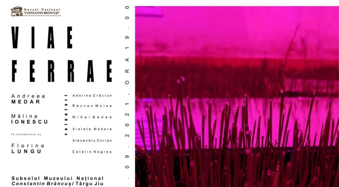 „Viae Ferrae II”, o nouă expoziție la Muzeul Național ”Constantin Brâncuși”